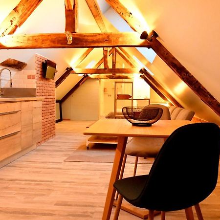 Appartamento Loft Sous Les Combles - Loft Under The Rafter Rodez Esterno foto