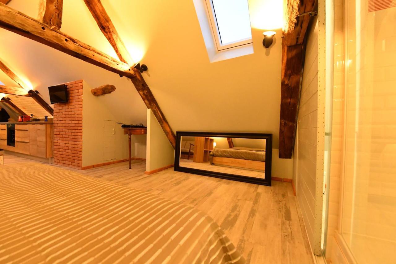 Appartamento Loft Sous Les Combles - Loft Under The Rafter Rodez Esterno foto